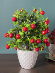 Artificial Fruit Plant with White Pot, Red, Plastic Plant - MARKET 99