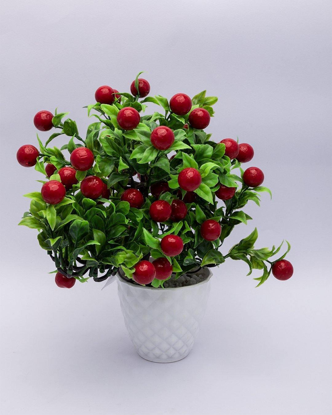 Artificial Fruit Plant with White Pot, Red, Plastic Plant - MARKET 99