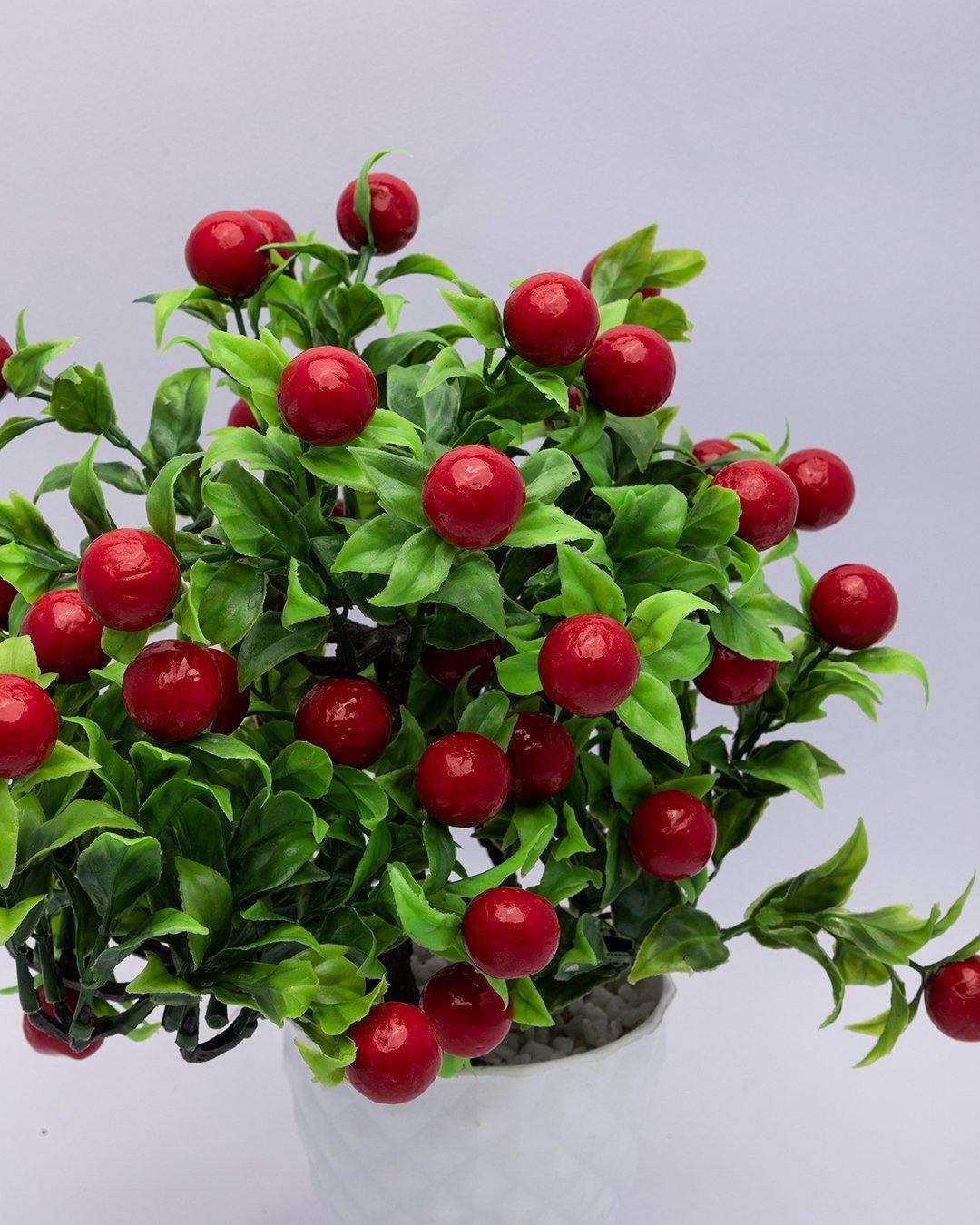 Artificial Fruit Plant with White Pot, Red, Plastic Plant - MARKET 99