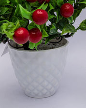 Artificial Fruit Plant with White Pot, Red, Plastic Plant - MARKET 99