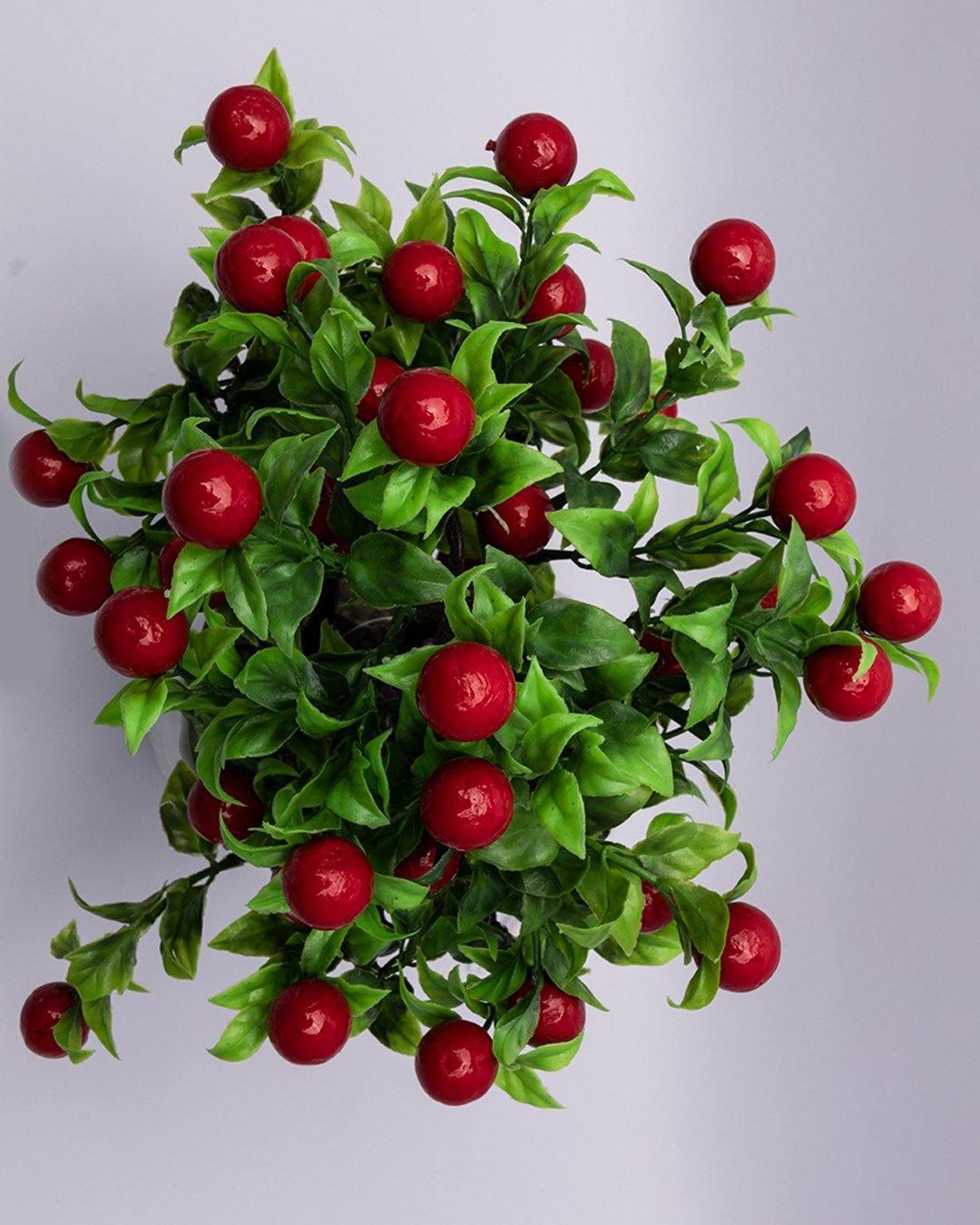 Artificial Fruit Plant with White Pot, Red, Plastic Plant - MARKET 99