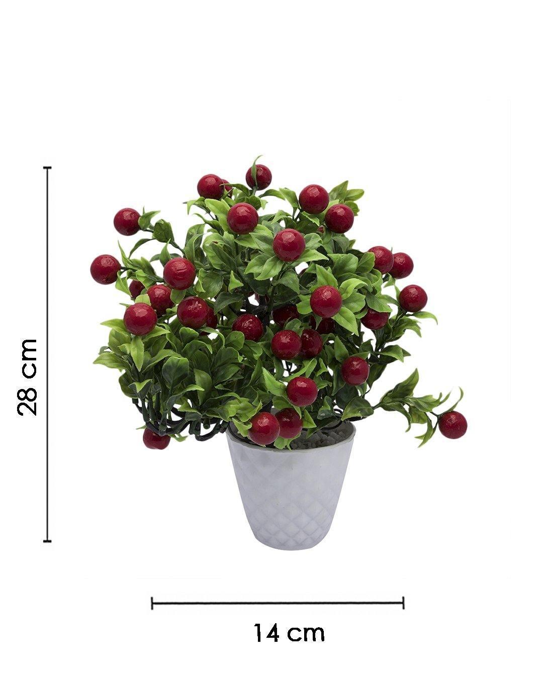 Artificial Fruit Plant with White Pot, Red, Plastic Plant - MARKET 99