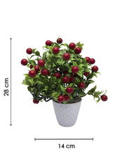 Artificial Fruit Plant with White Pot, Red, Plastic Plant - MARKET 99