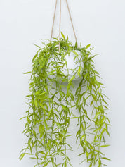 Artificial Greenery Hanging Plant With White Pot -For Home Décor - MARKET 99