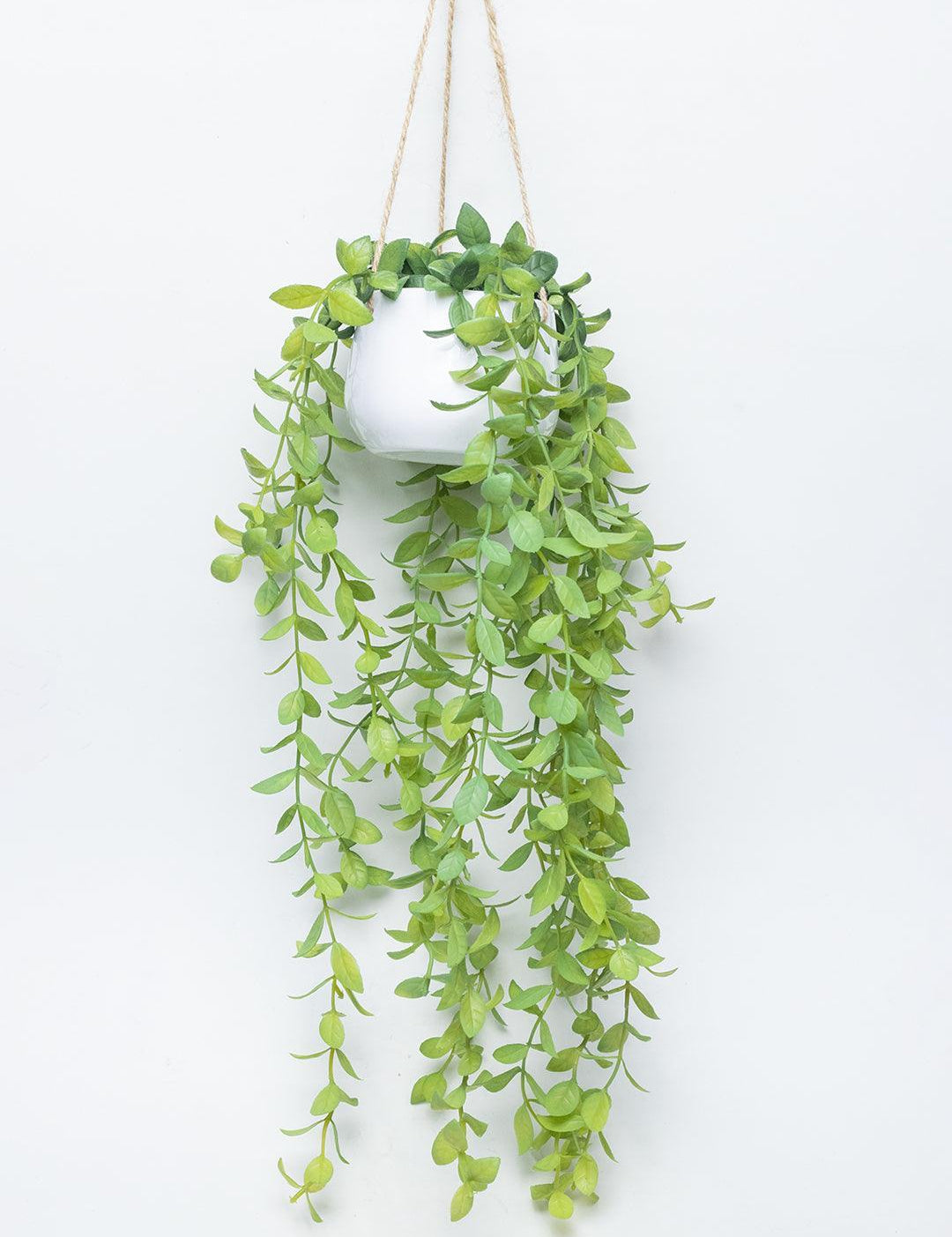 Artificial Greenery Hanging Plant With White Pot - For Wall Décor - MARKET 99