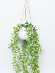 Artificial Greenery Hanging Plant With White Pot - For Wall Décor - MARKET 99