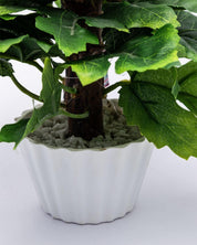 Artificial Plant, Mini Canadian & Mini Ficus Arrangement with White Pot, Green, Plastic Plant - MARKET 99