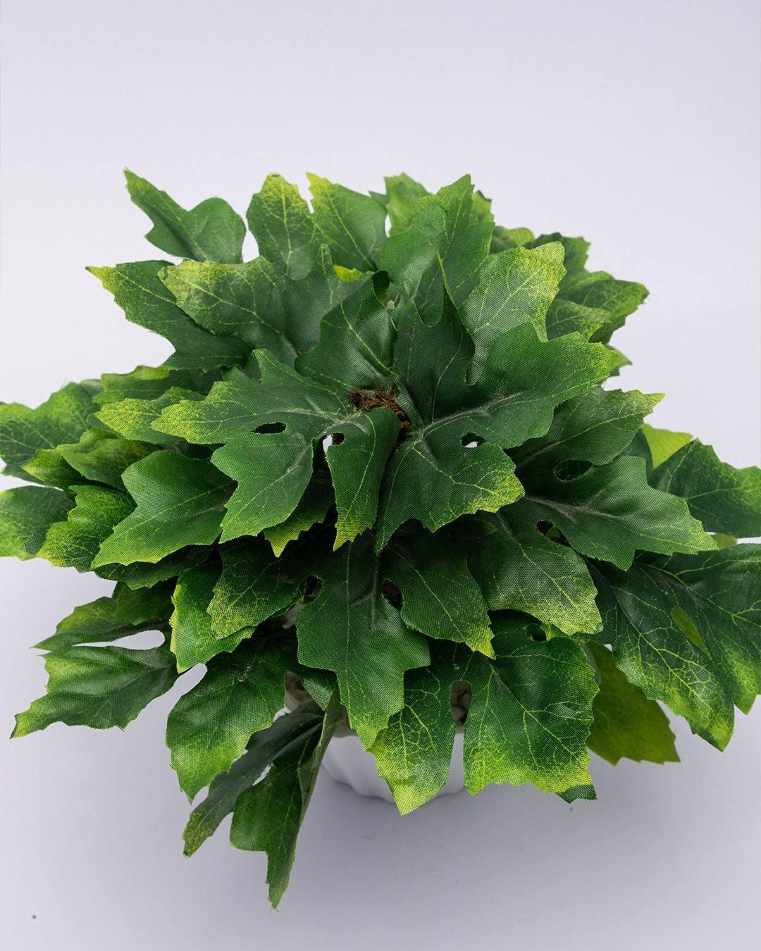 Artificial Plant, Mini Canadian & Mini Ficus Arrangement with White Pot, Green, Plastic Plant - MARKET 99