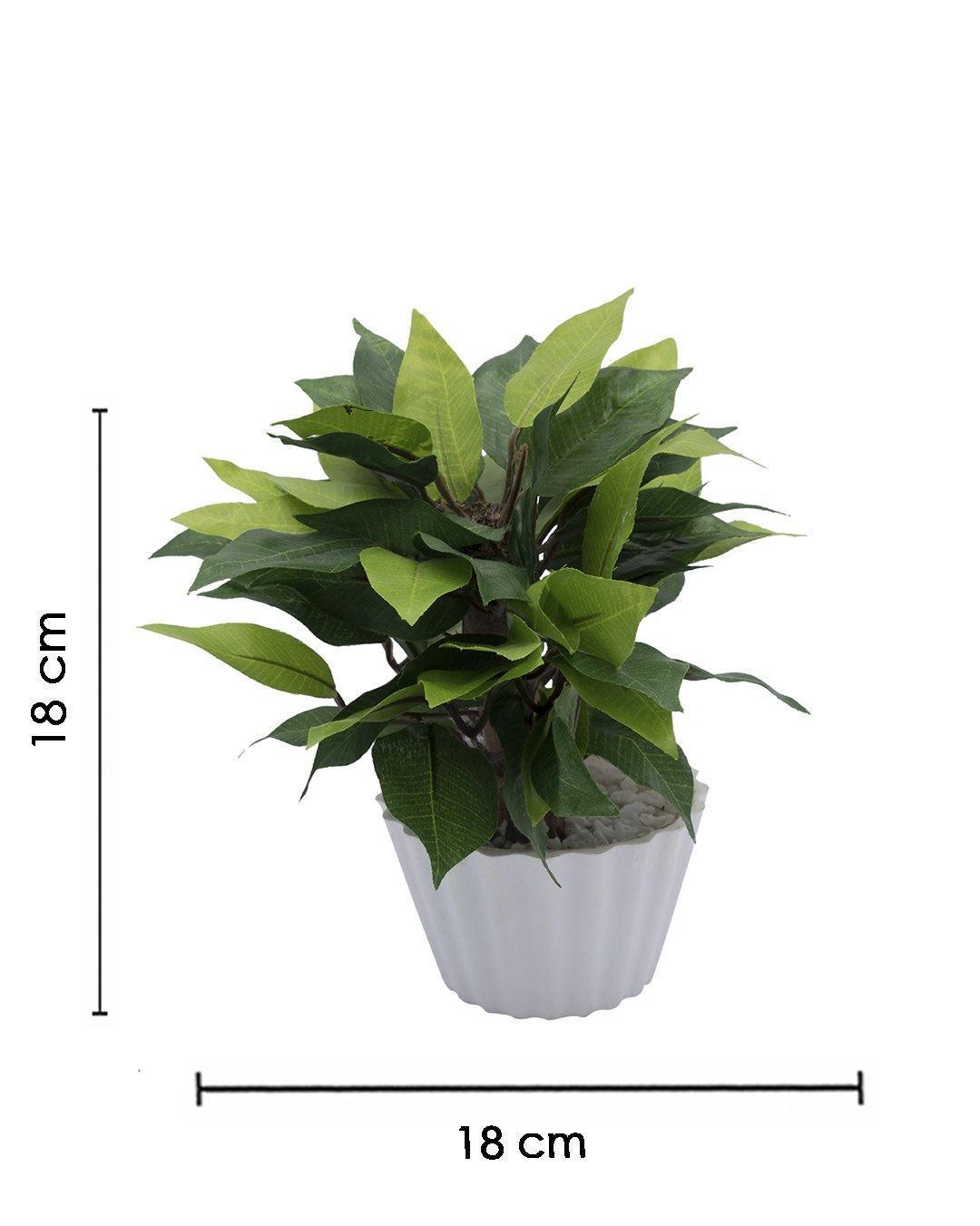 Artificial Plant, Mini Canadian & Mini Ficus Arrangement with White Pot, Green, Plastic Plant - MARKET 99