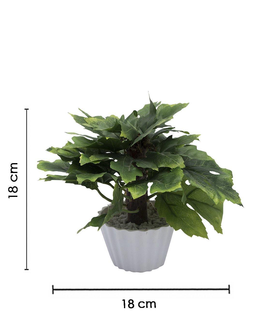 Artificial Plant, Mini Canadian & Mini Ficus Arrangement with White Pot, Green, Plastic Plant - MARKET 99