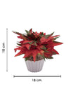 Artificial Plant, Mini Canadian & Mini Ficus Arrangement with White Pot, Multicolour, Plastic Plant - MARKET 99