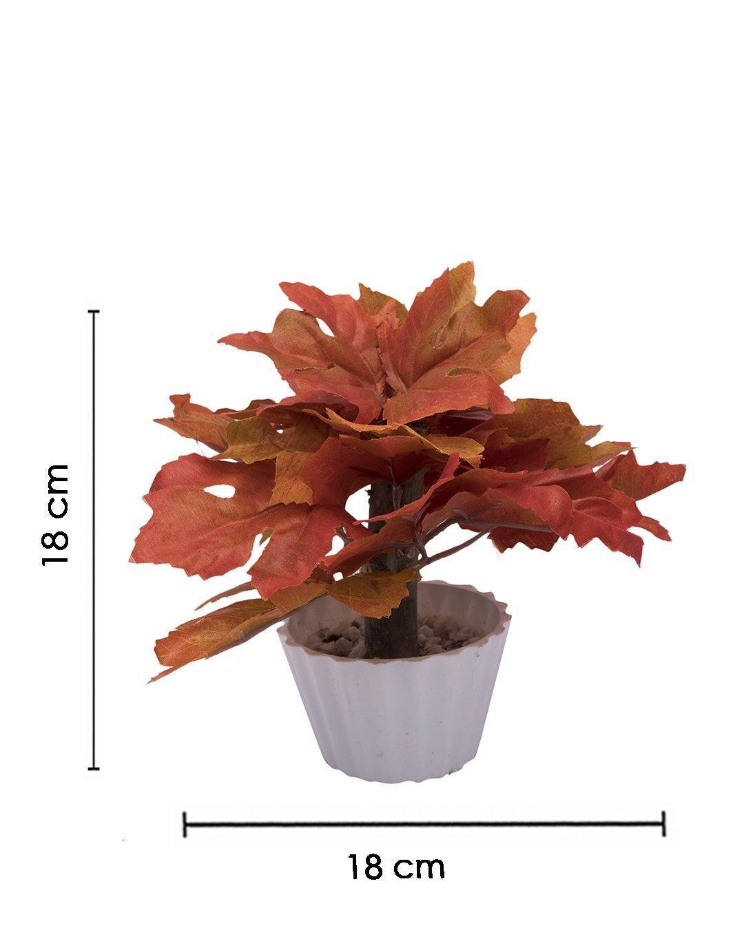 Artificial Plant, Mini Canadian & Mini Ficus Arrangement with White Pot, Orange, Plastic Plant - MARKET 99