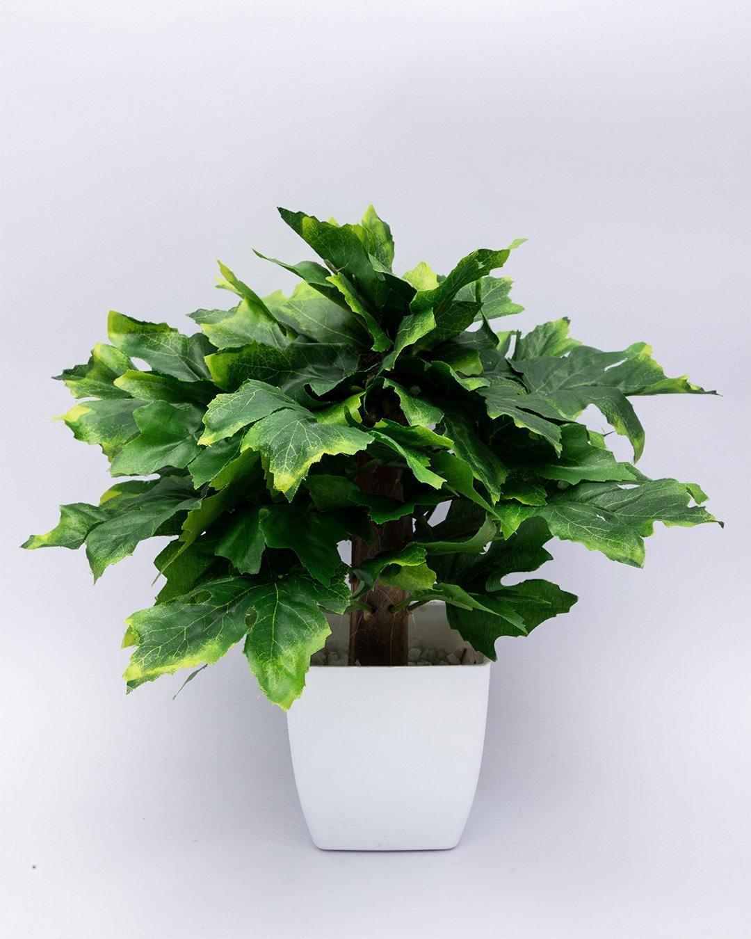 Artificial Plant, Money Leaf Arrangement with White Pot, Green, Plastic Plant - MARKET 99