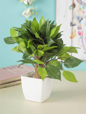 Artificial Plant, Money Leaf Arrangement with White Pot, Green, Plastic Plant - MARKET 99