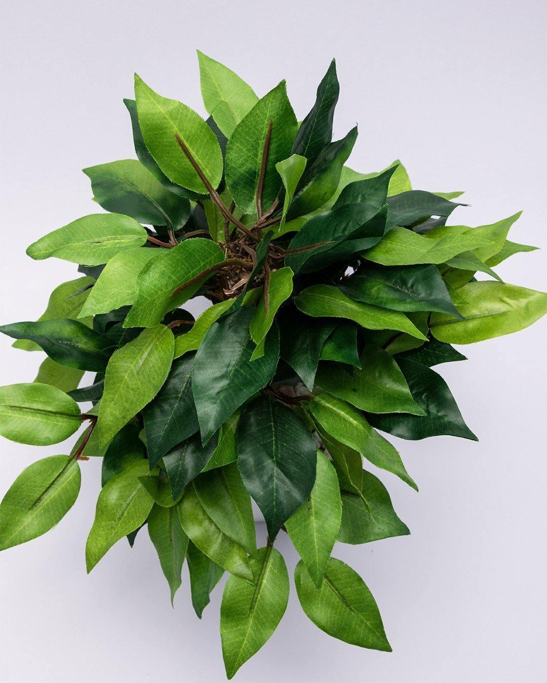 Artificial Plant, Money Leaf Arrangement with White Pot, Green, Plastic Plant - MARKET 99