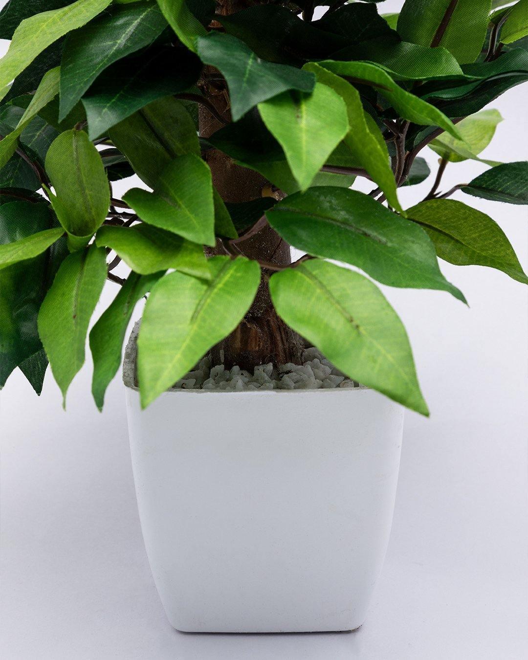 Artificial Plant, Money Leaf Arrangement with White Pot, Green, Plastic Plant - MARKET 99