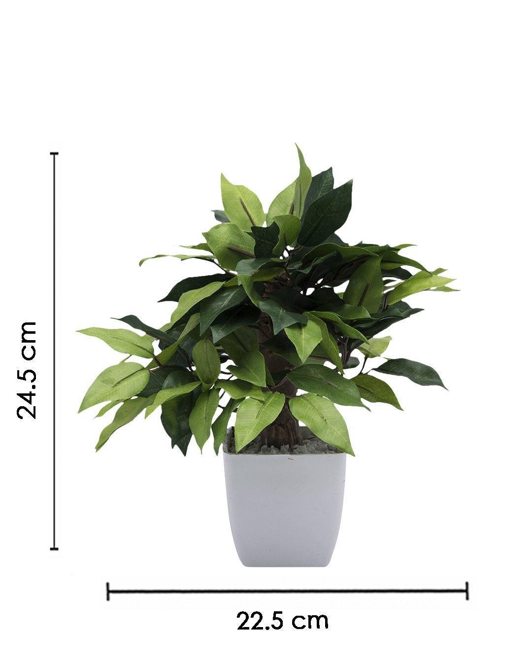 Artificial Plant, Money Leaf Arrangement with White Pot, Green, Plastic Plant - MARKET 99