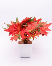 Artificial Plant, Money Leaf Arrangement with White Pot, Multicolour, Plastic Plant - MARKET 99