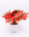 Artificial Plant, Money Leaf Arrangement with White Pot, Multicolour, Plastic Plant - MARKET 99