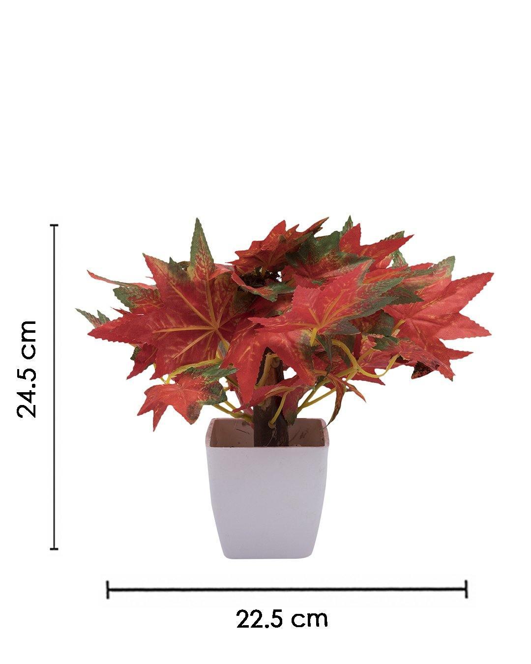 Artificial Plant, Money Leaf Arrangement with White Pot, Multicolour, Plastic Plant - MARKET 99