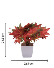 Artificial Plant, Money Leaf Arrangement with White Pot, Multicolour, Plastic Plant - MARKET 99