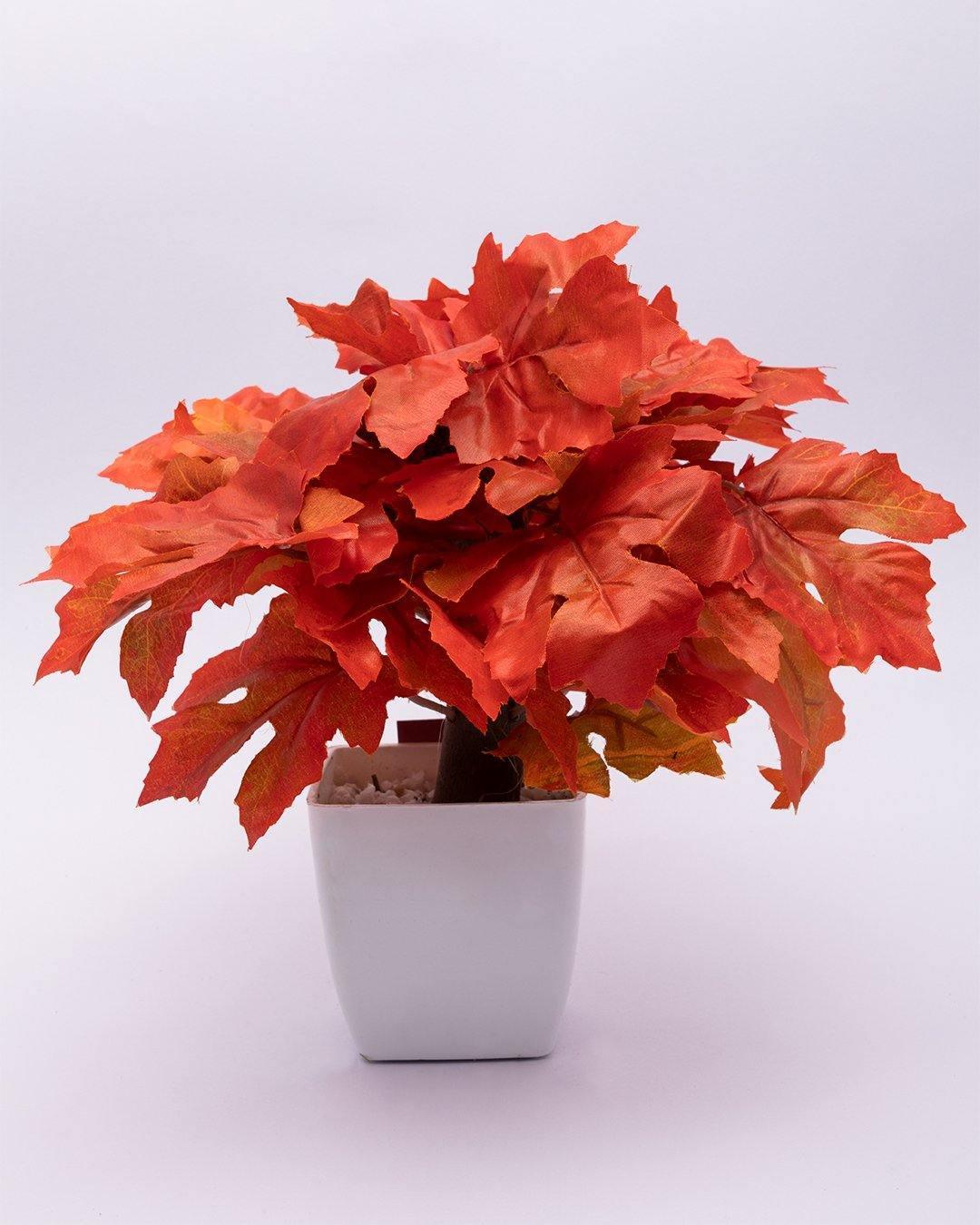 Artificial Plant, Money Leaf Arrangement with White Pot, Orange, Plastic Plant - MARKET 99