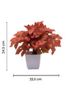 Artificial Plant, Money Leaf Arrangement with White Pot, Orange, Plastic Plant - MARKET 99