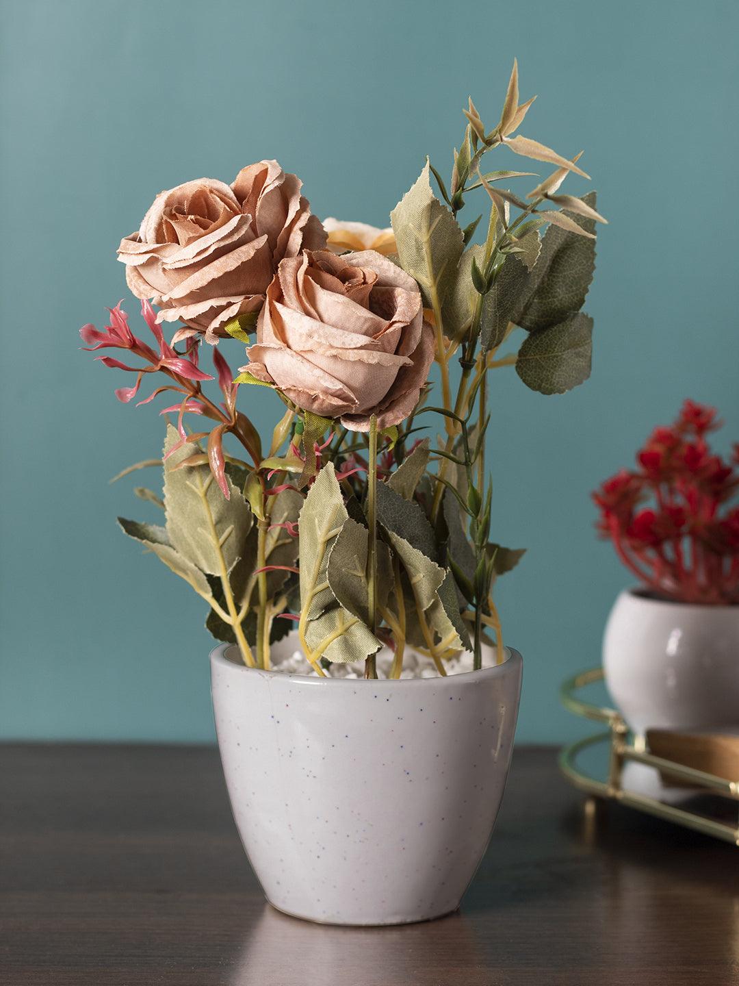 Artificial Plant with Ceramic Pot, Dry Rose Arrangement, Multicolour, Plastic Plant - MARKET 99