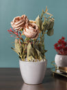Artificial Plant with Ceramic Pot, Dry Rose Arrangement, Multicolour, Plastic Plant - MARKET 99