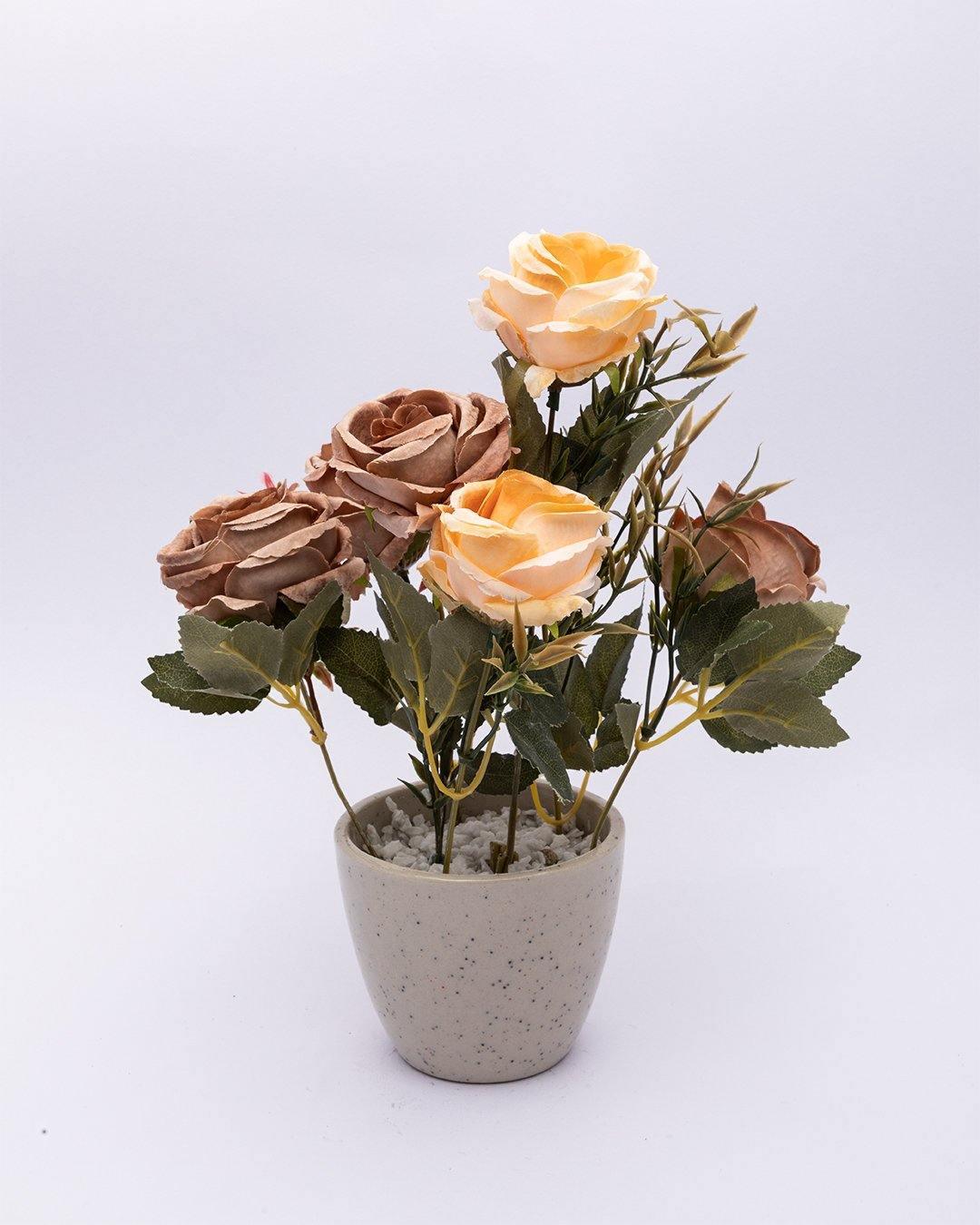 Artificial Plant with Ceramic Pot, Dry Rose Arrangement, Multicolour, Plastic Plant - MARKET 99