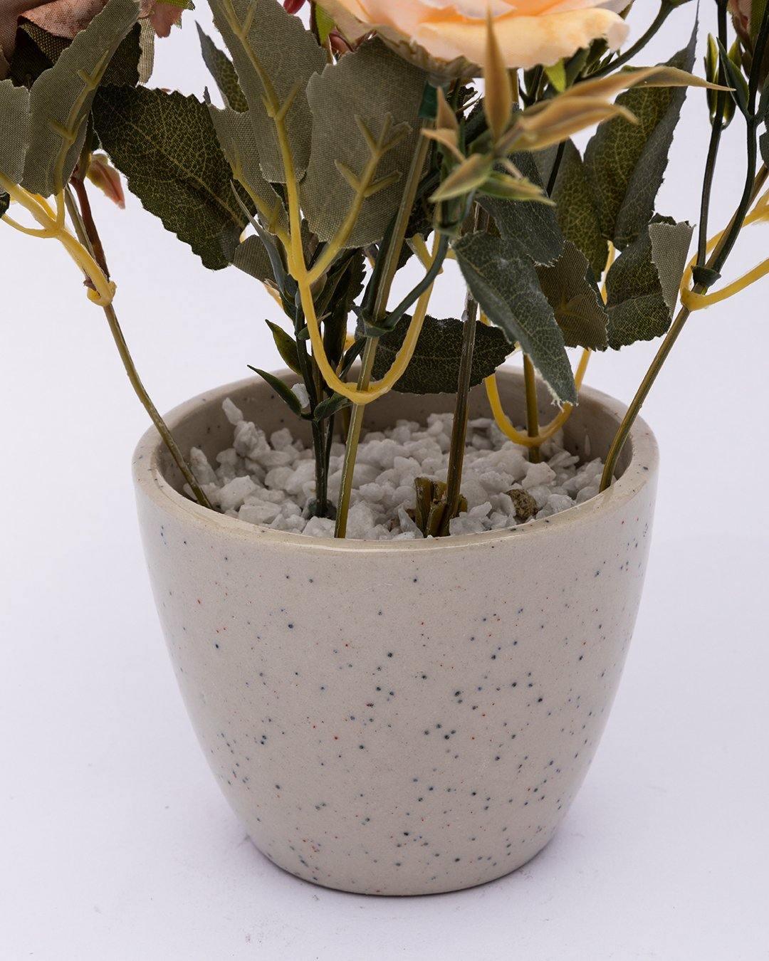 Dried Roses In Ceramic Pot - Playtpus Home