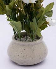 Artificial Plant with Handi Shaped Pot, Rose Flower Arrangement, White, Plastic Plant - MARKET 99