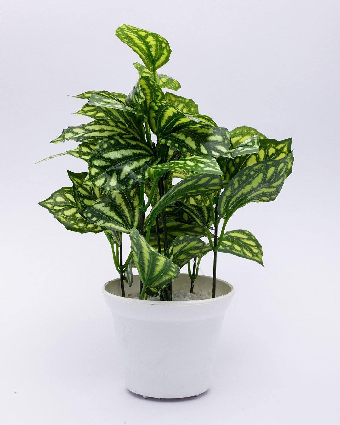 Artificial Plant with White Pot, Green, Plastic Plant - MARKET 99