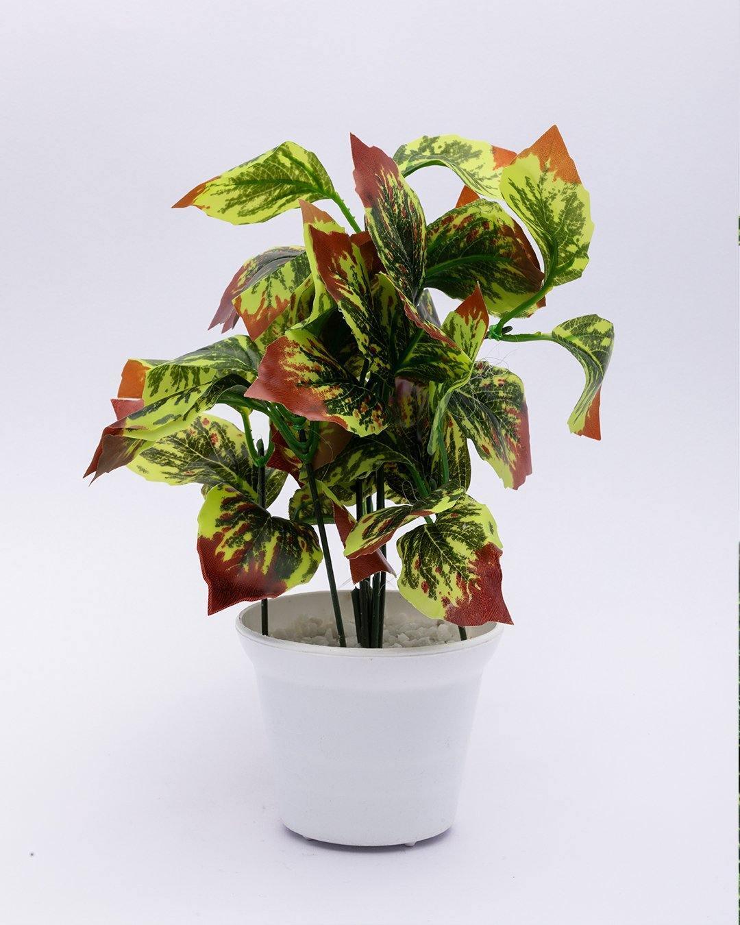 Artificial Plant with White Pot, Green, Plastic Plant - MARKET 99
