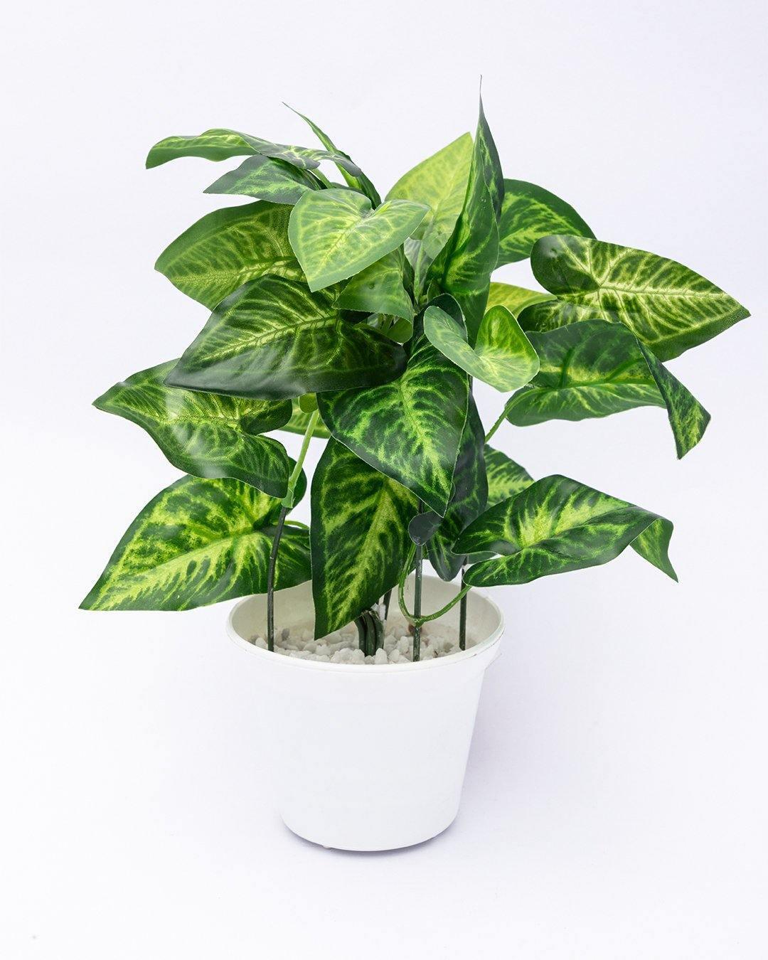 Artificial Plant with White Pot, Green, Plastic Plant - MARKET 99