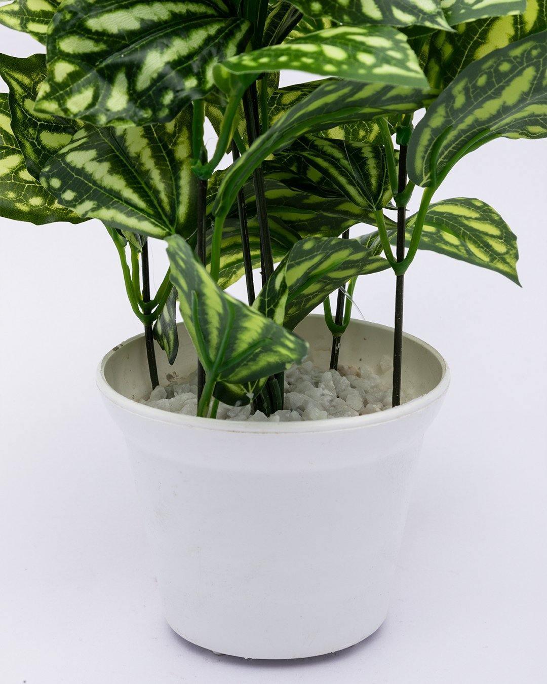 Artificial Plant with White Pot, Green, Plastic Plant - MARKET 99