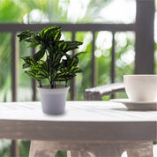 Artificial Plant with White Pot, Green, Plastic Plant - MARKET 99