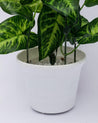 Artificial Plant with White Pot, Green, Plastic Plant - MARKET 99