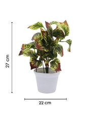 Artificial Plant with White Pot, Green, Plastic Plant - MARKET 99