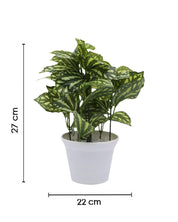 Artificial Plant with White Pot, Green, Plastic Plant - MARKET 99