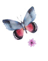 Butterfly Wall Stickers, Multicolour, Plastic, Set of 15 - MARKET 99