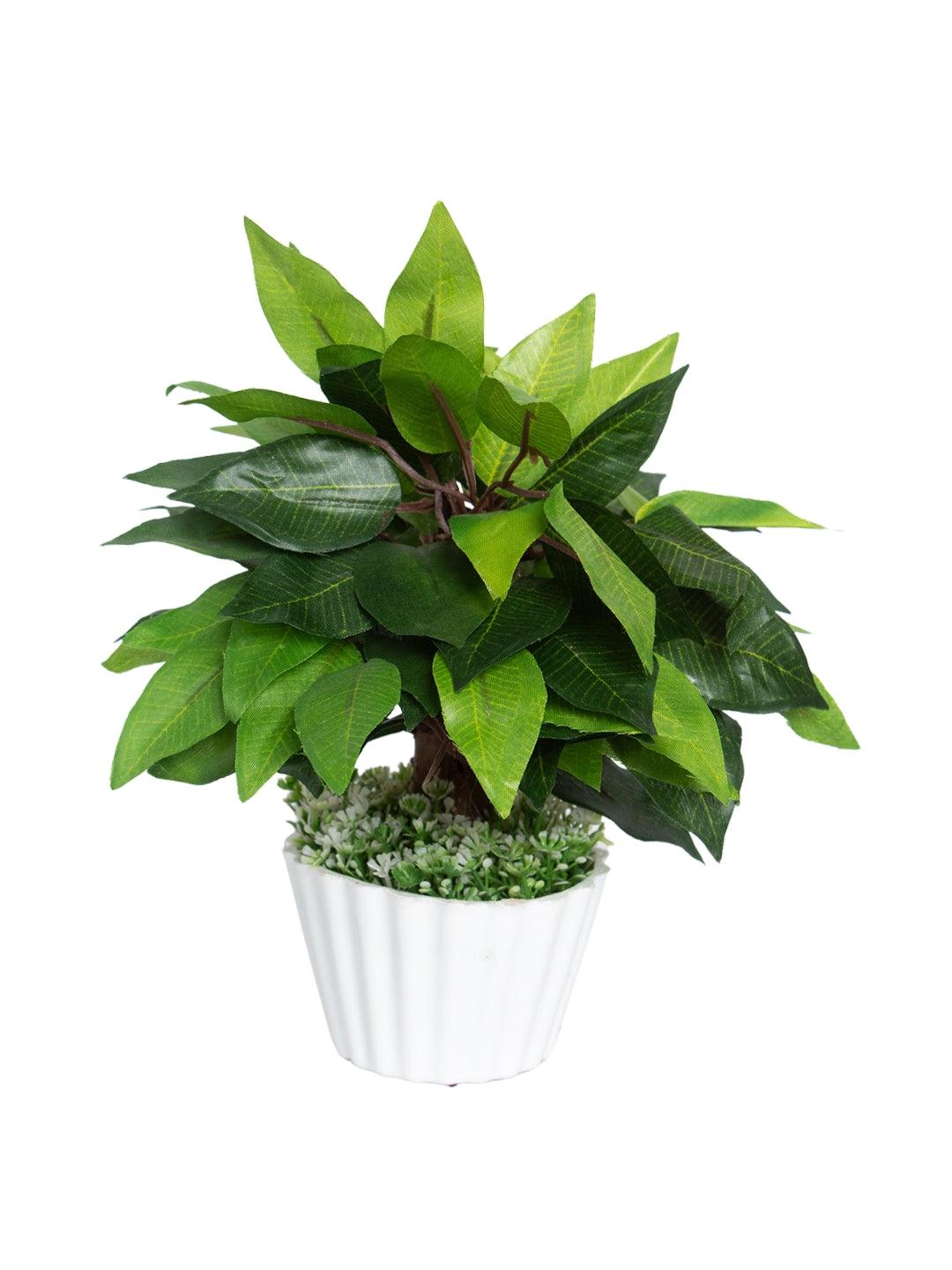 Ciliated Leaves Artificial Flower Vase For Home Décor