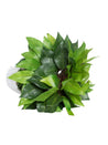 Ciliated Leaves Artificial Flower Vase For Home Décor