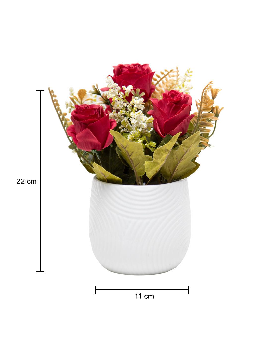 Dark Red Roses With Turquoise Pot - MARKET 99