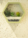 Elegant Hexagonal Transparent Wall Hanging Terrarium - MARKET 99