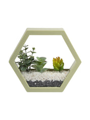 Elegant Hexagonal Transparent Wall Hanging Terrarium - MARKET 99