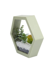 Elegant Hexagonal Transparent Wall Hanging Terrarium - MARKET 99