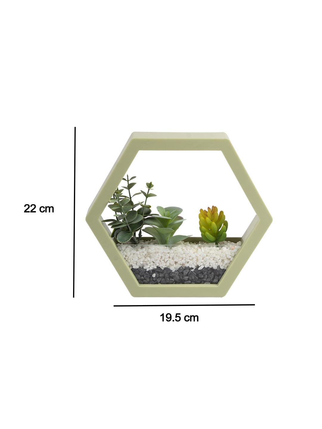 Elegant Hexagonal Transparent Wall Hanging Terrarium - MARKET 99