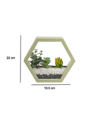 Elegant Hexagonal Transparent Wall Hanging Terrarium - MARKET 99