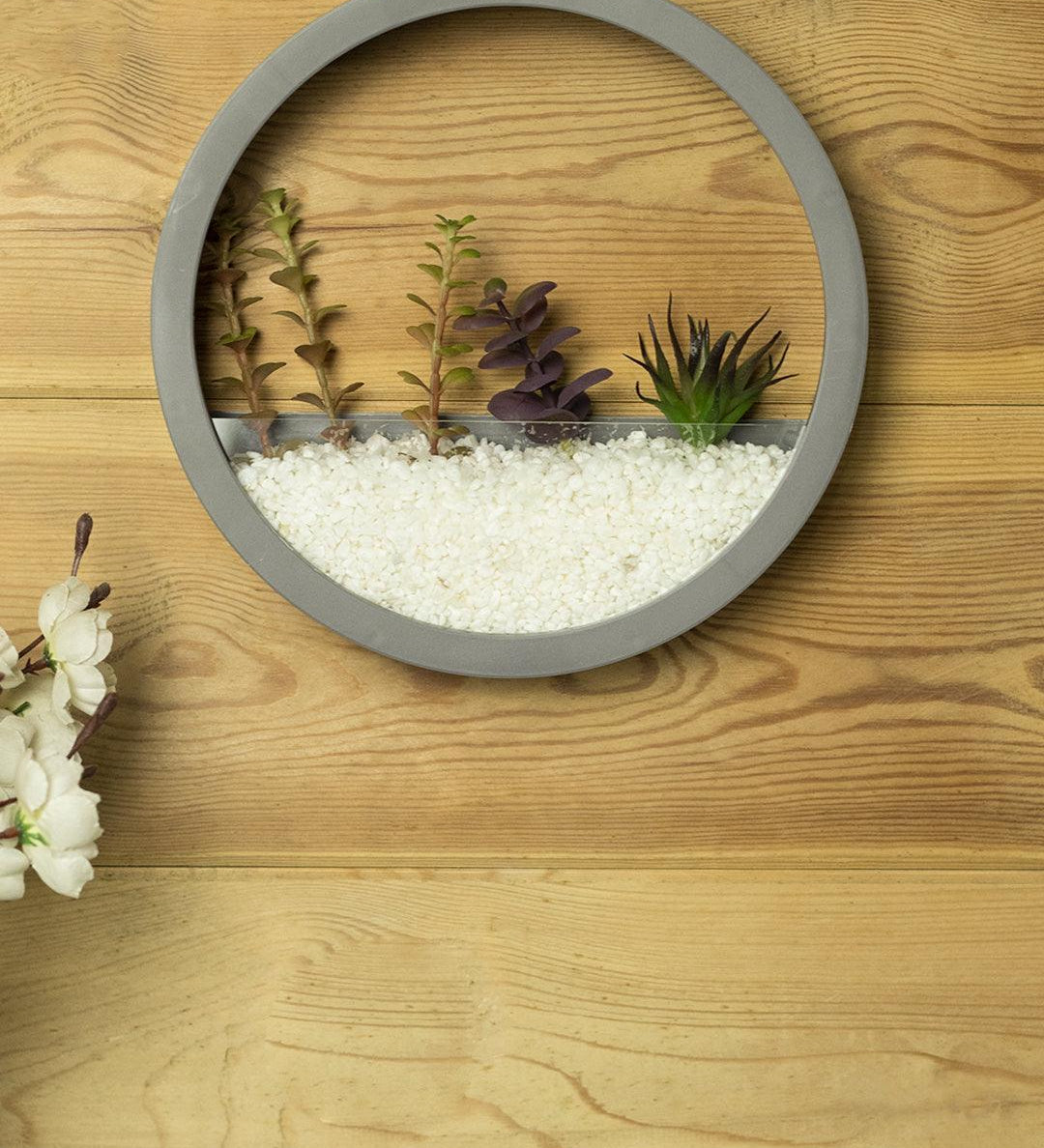 Elegant Round Transparent Wall Hanging Glass Terrarium - MARKET 99